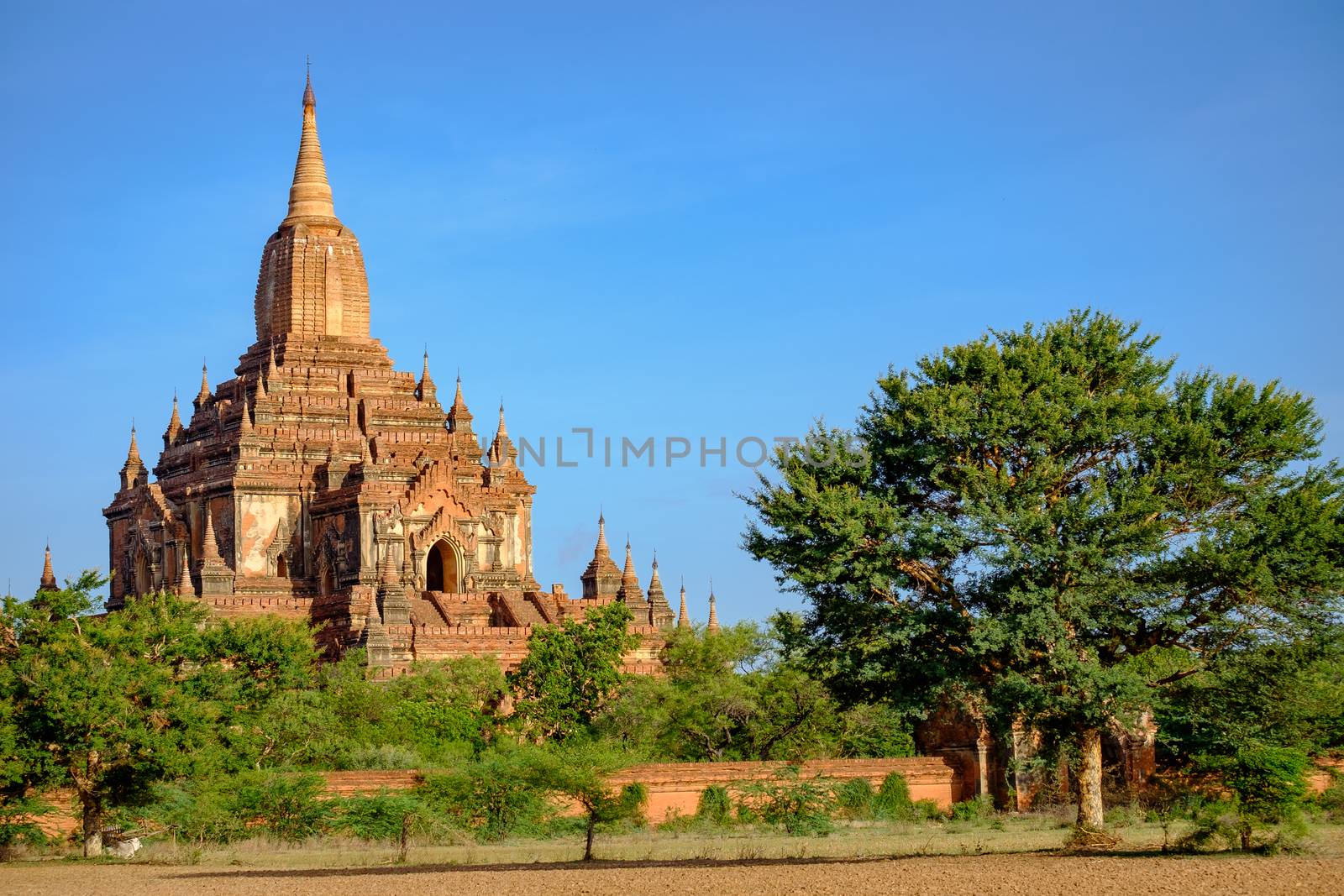 Landscape view of Sulamani temple and fields, Bagan, Myanmar by martinm303