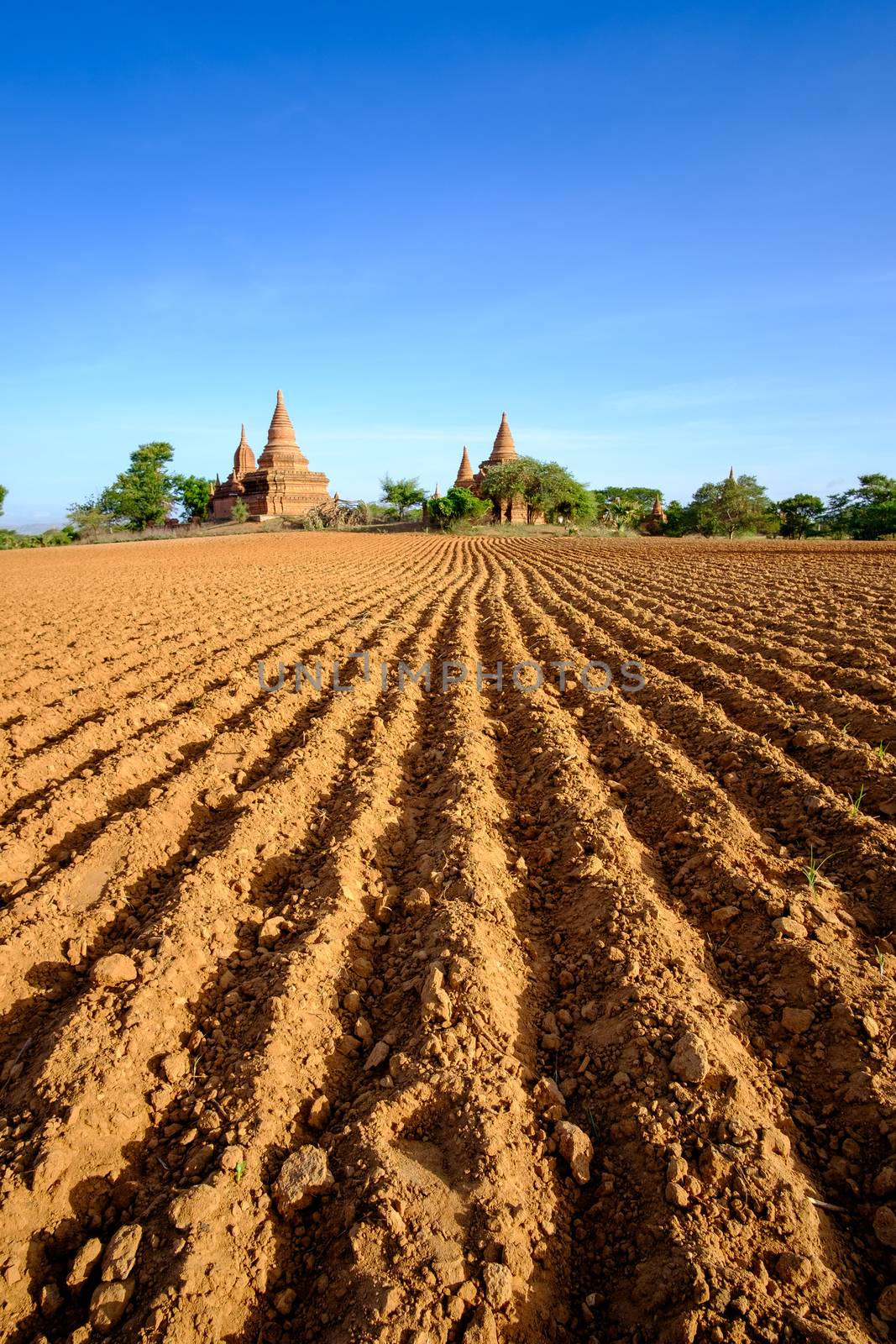 Landscape view of ancient temples and field with leading lines, Bagan, Myanmar
