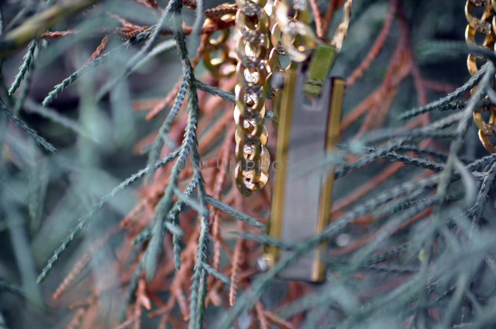 picture of a Golden necklace. Gold jewelry