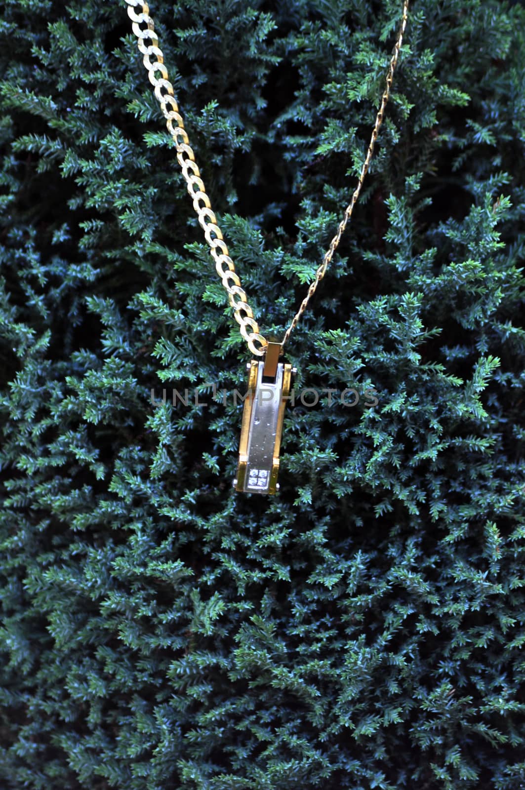 picture of a Golden necklace. Gold jewelry