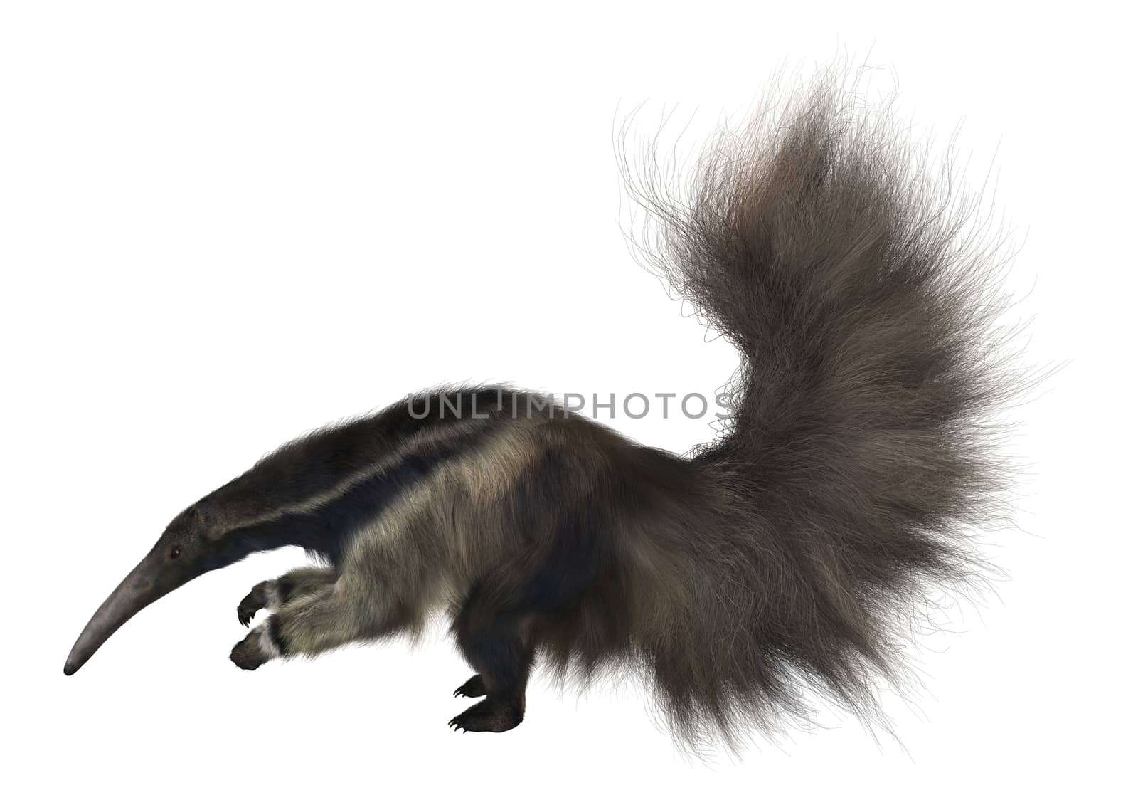 3D digital render of a giant anteater isolated on white background