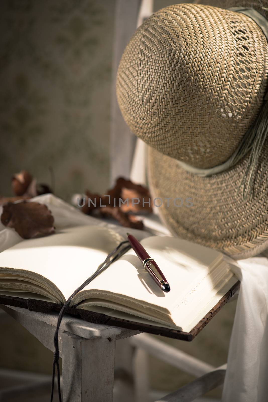 Elegant open book with pen, straw hat and dry leaves.
