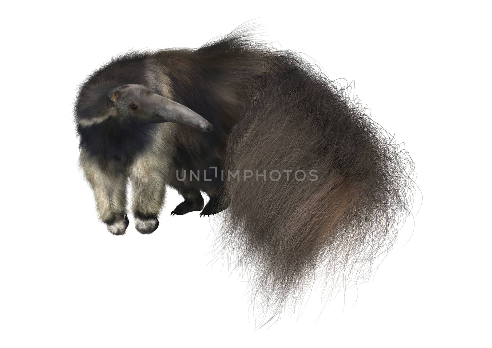 3D digital render of a giant anteater isolated on white background