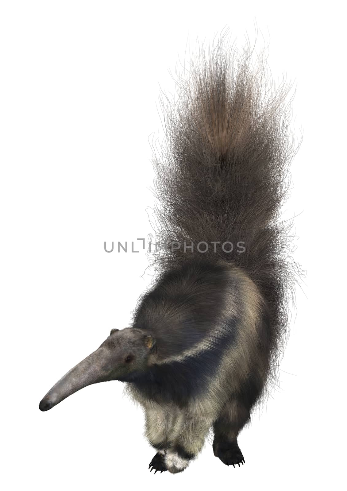 3D digital render of a giant anteater isolated on white background