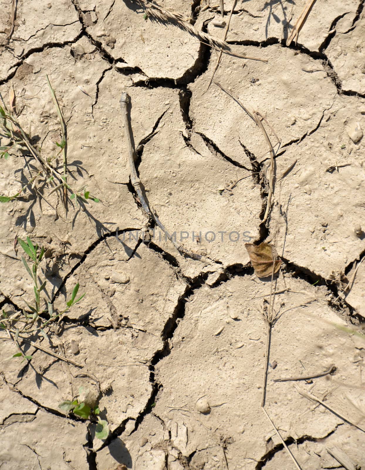 Dry cracked soil,earth, climate concept