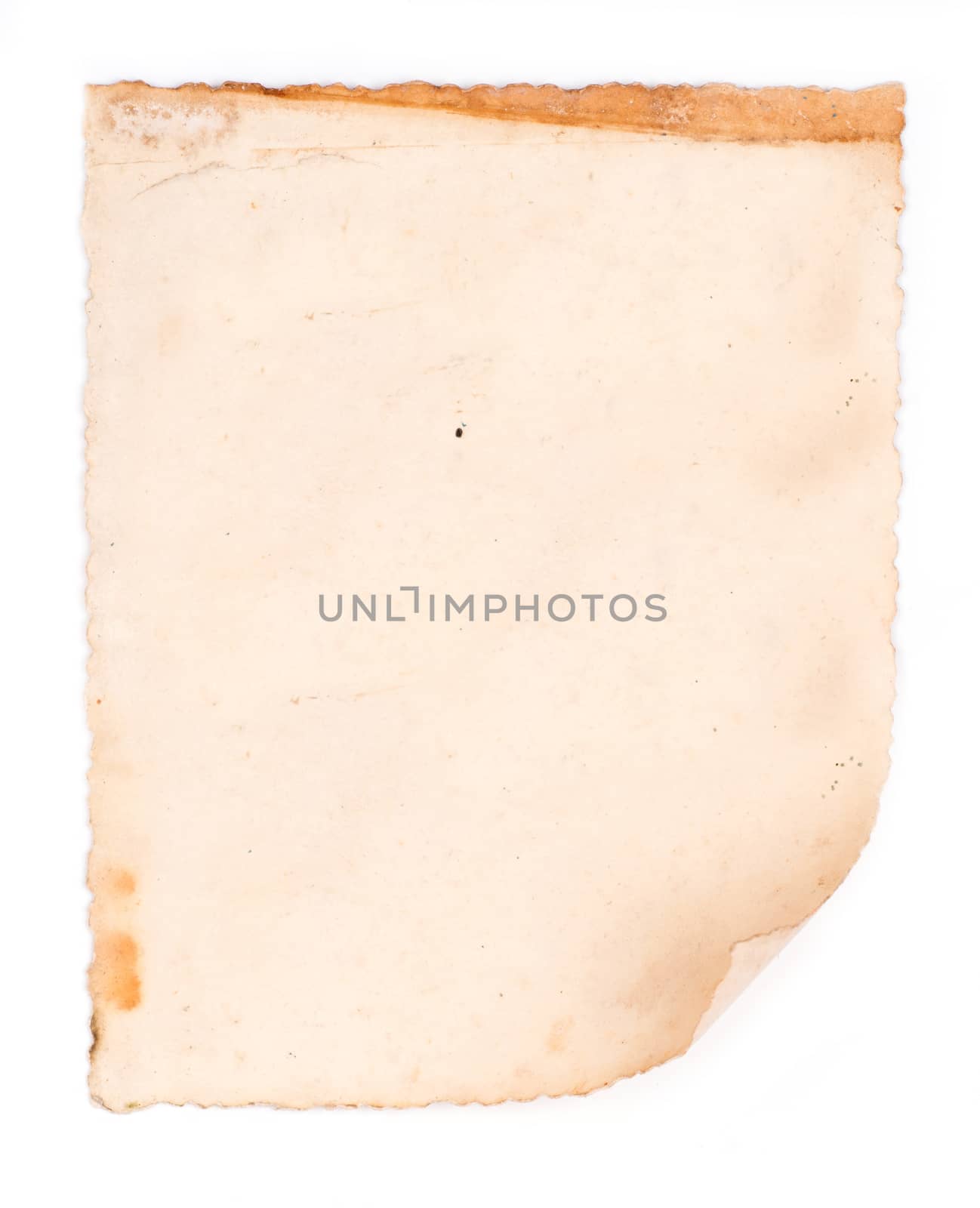 old paper isolated on white background by anankkml