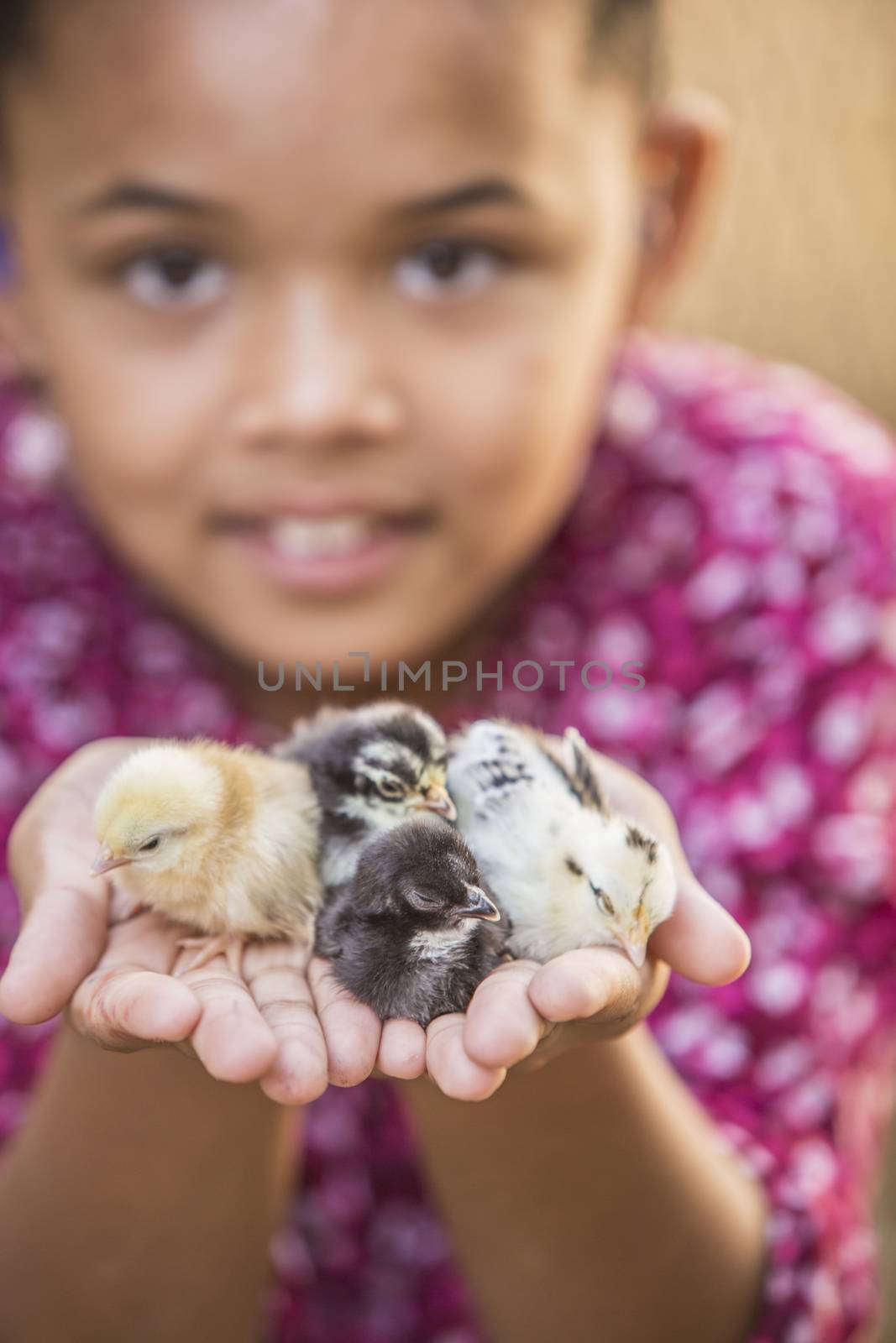 Pretty Young Girl wiht Chicks by Creatista