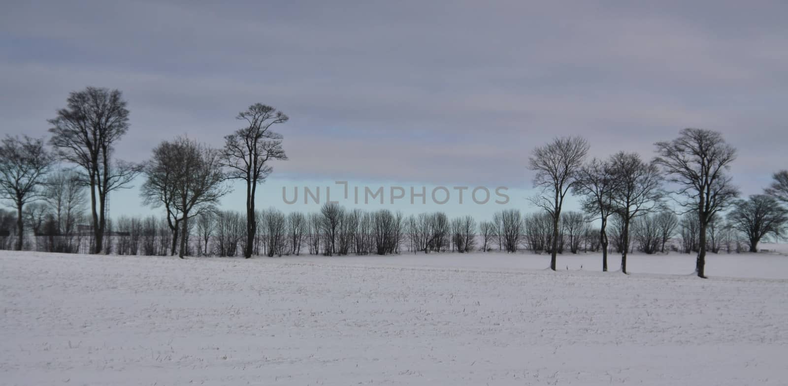 winter landscape  and gloomy sky by jnerad