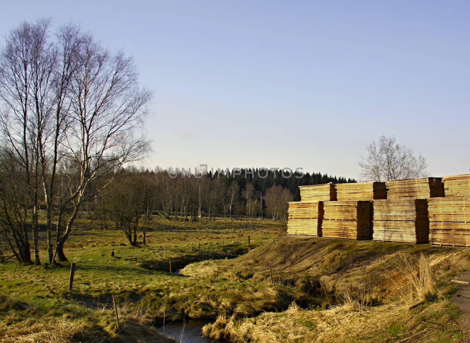stock planks under the open sky and landscape with forest in background