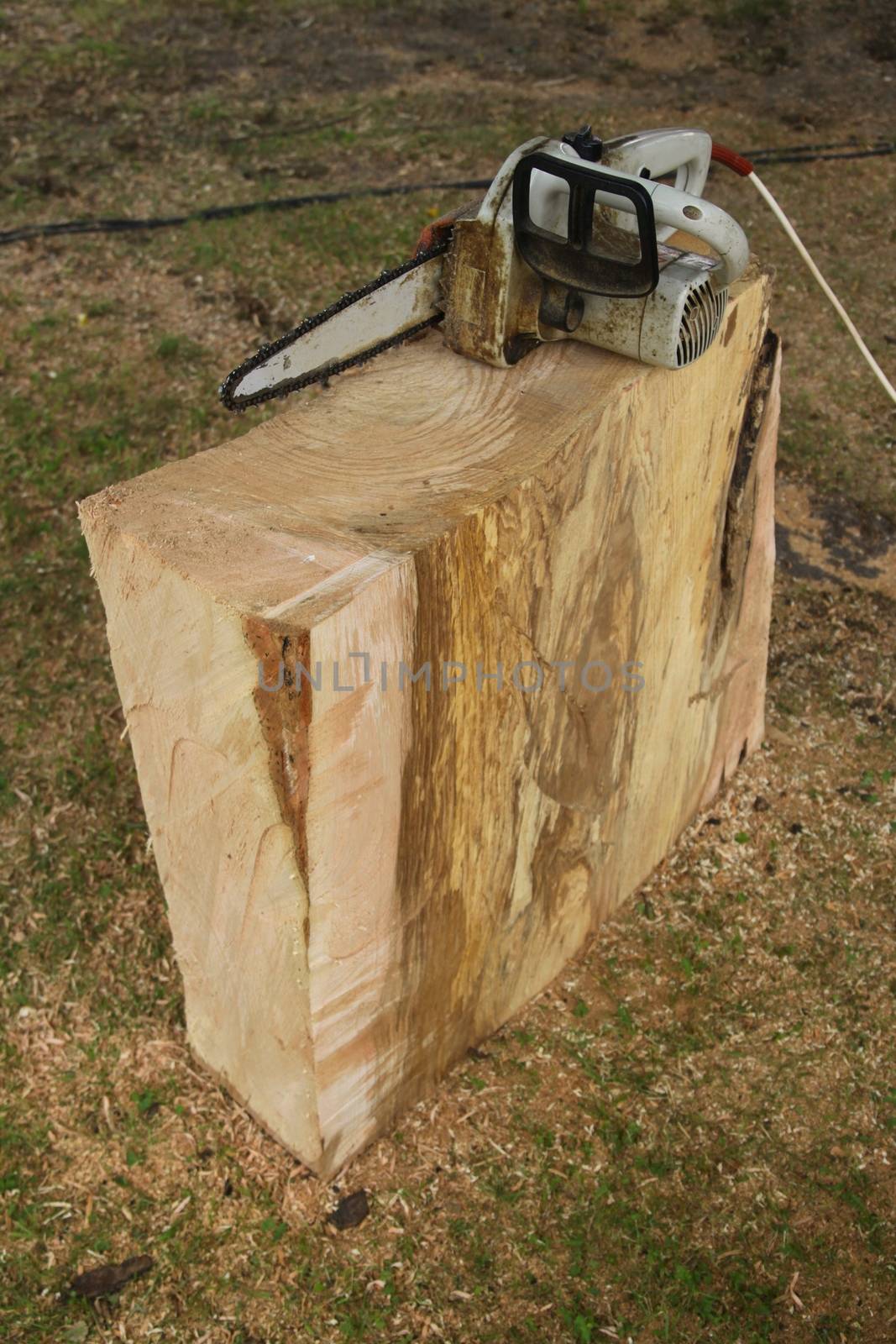 chainsaw and a block of wood from the linden tree