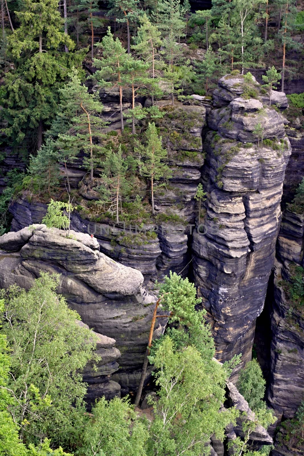 sandstone rocks in the national park of the canyon of the river Elbe