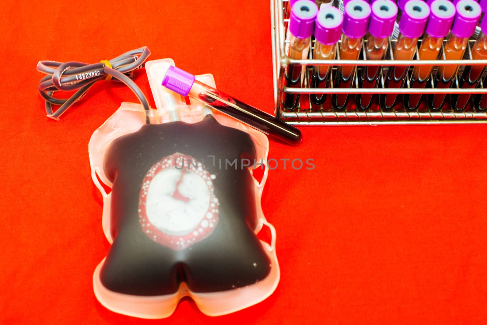 Close up bag of blood and plasma and rubber tube isolated on Red background