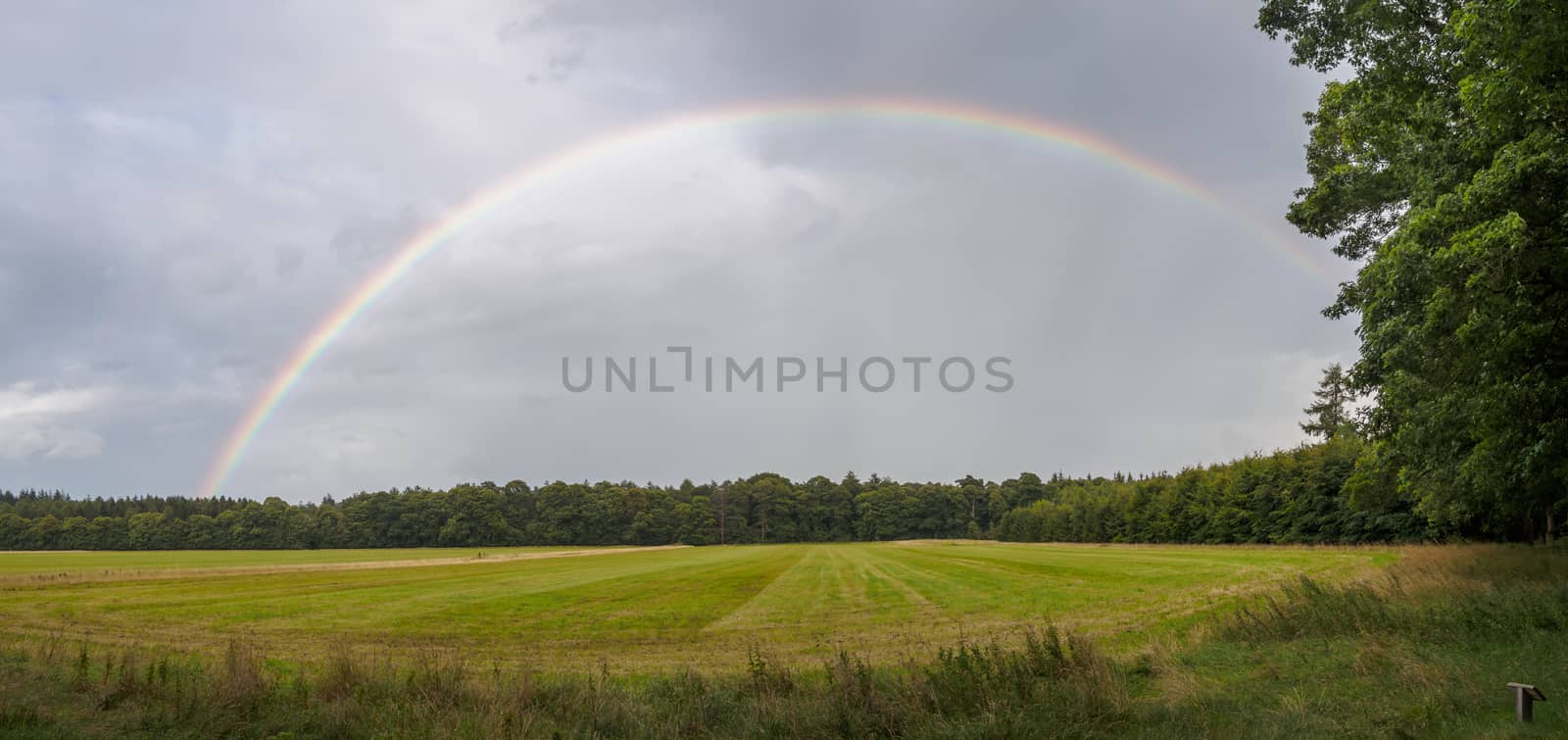 Full rainbow panorama over a Dutch meadow against a dark cloudy sky