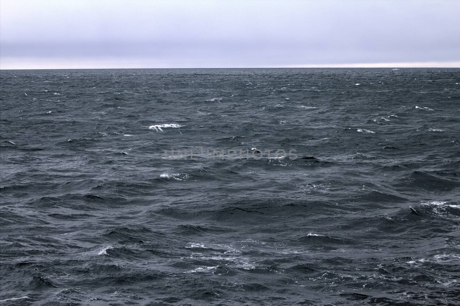 High sharp waves in the Arctic sea. On the horizon of the Northern island of Novaya Zemlya