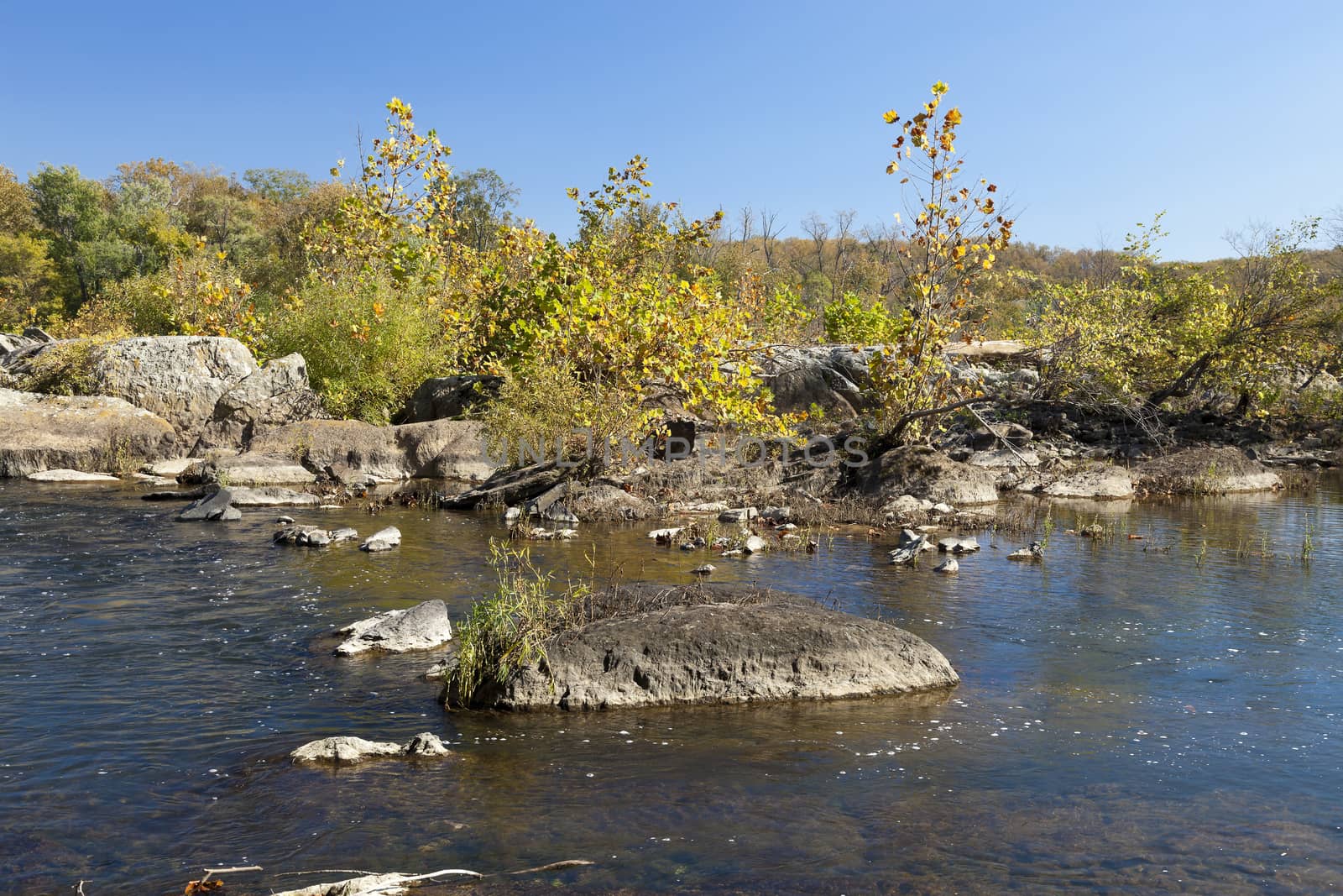 Potomac River in the Autumn by hanusst