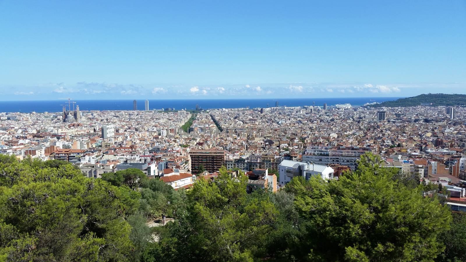 Panoramic view of Barcelona (Spain) from Park Guell