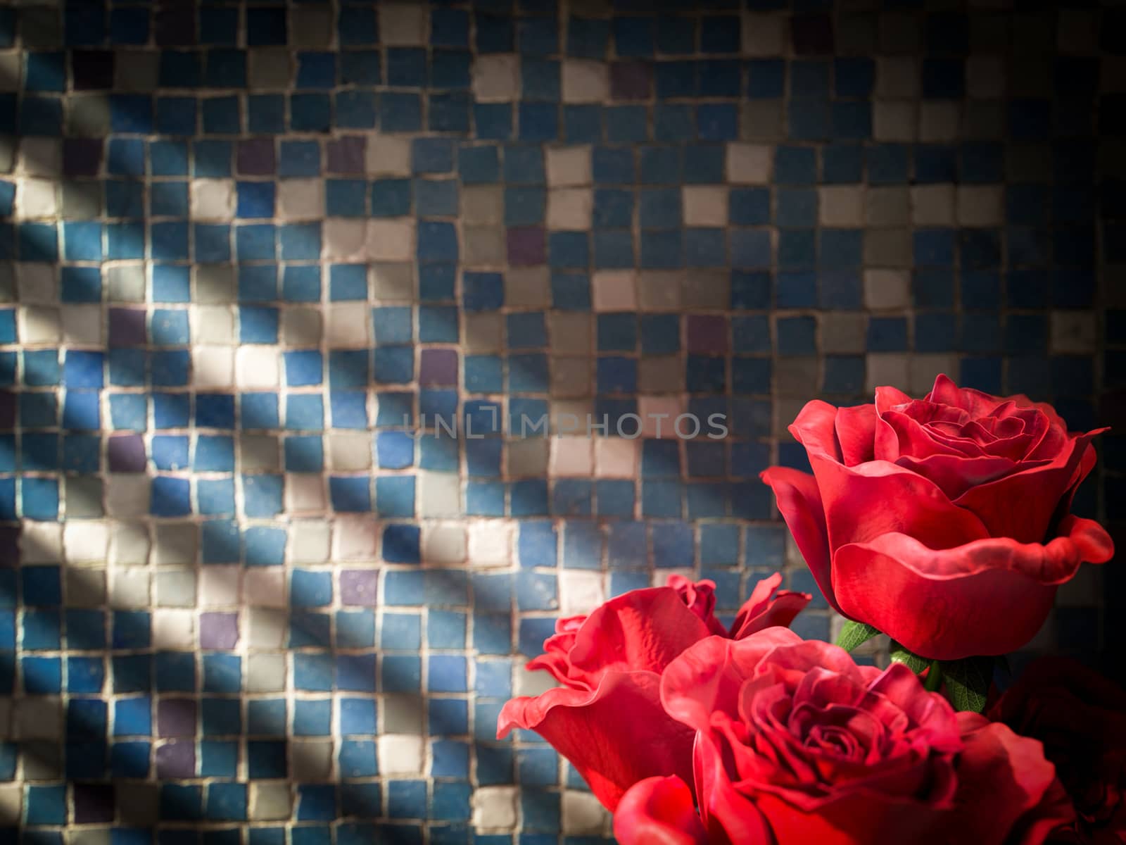 red rose on tiled wall decorative concept background by denisgo
