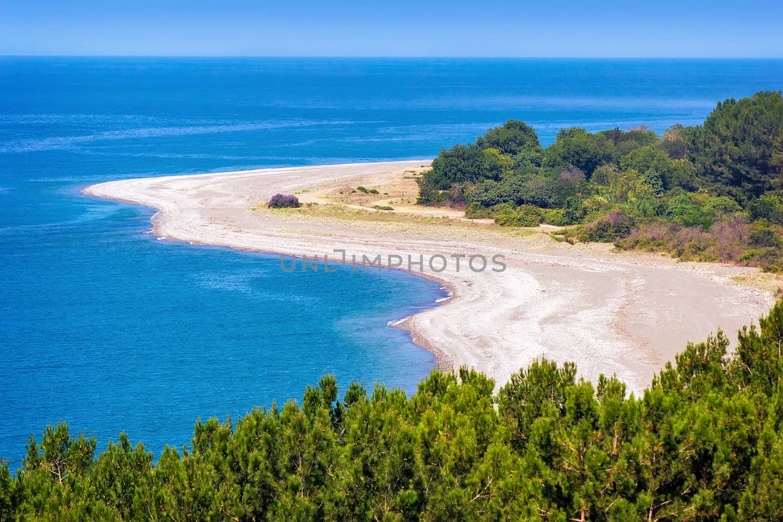 Beautiful landscape: blue sea, beach, shore with growing pine trees. The view from the top.