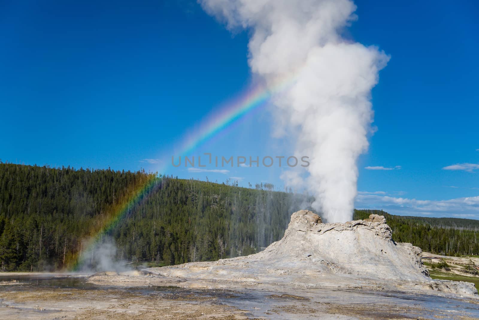 Castle Geyser casting a Rainbow in Yellowstone