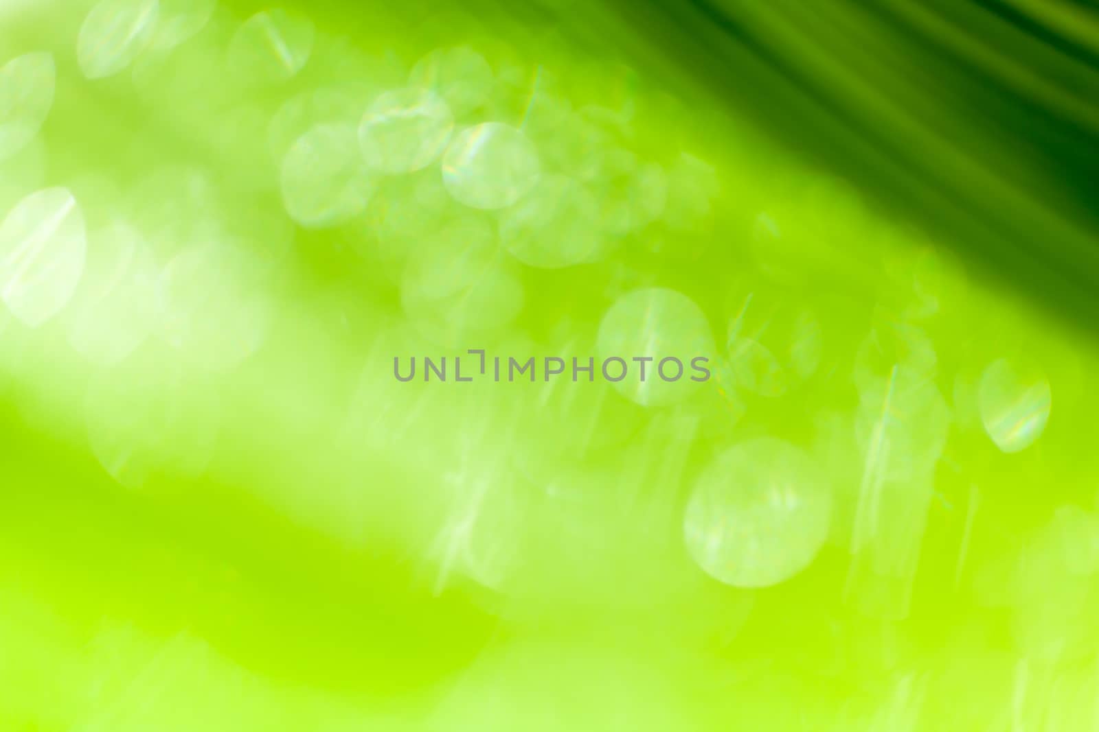 Beautiful bokeh  background - Water drops on the green banana leaf. by kerdkanno