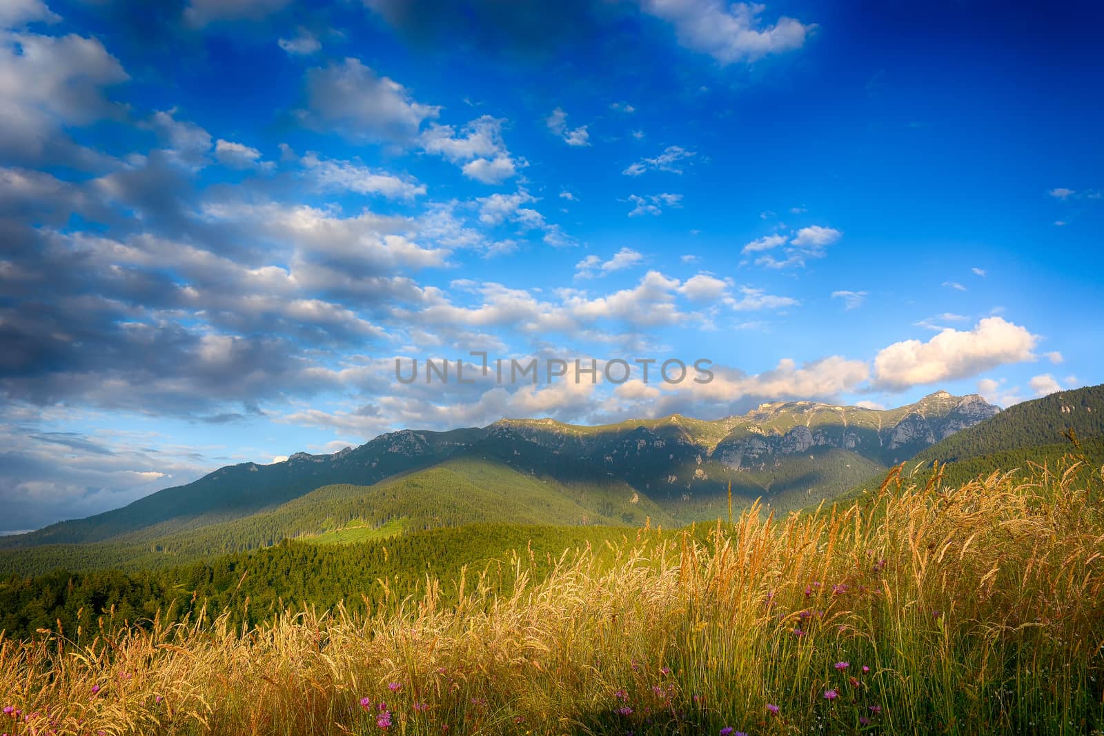 Evening, sunset on mountain hills of Simon village. Bran. by constantinhurghea