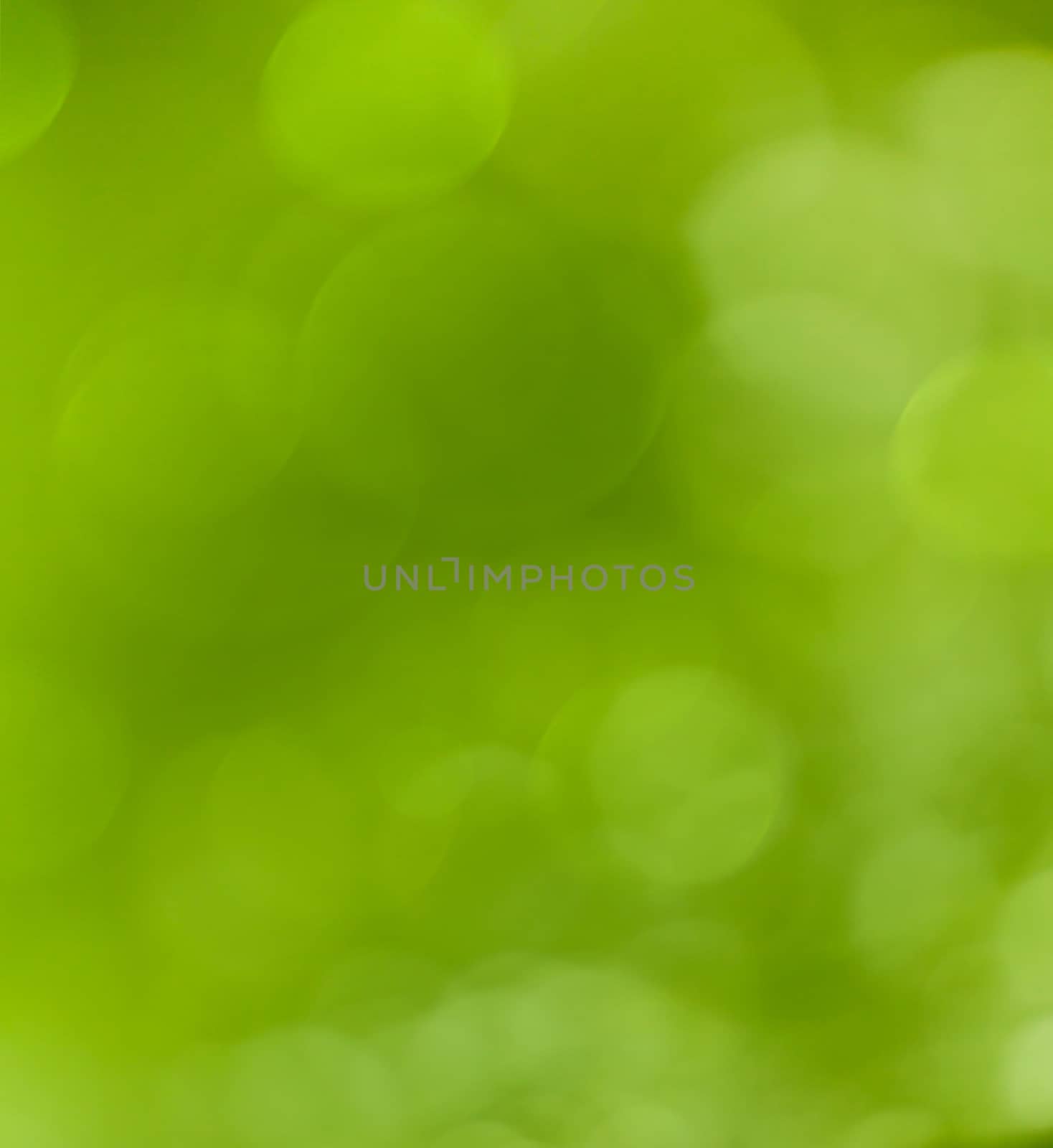 Beautiful bokeh  background - Water drops on the green banana leaf.