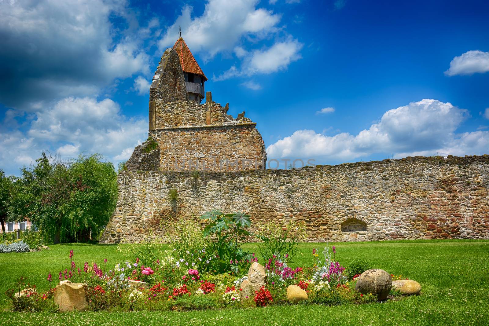 Carta Monastery is a former Cistercian (Benedictine) monastery in the Tara Fagarasului region in southern Transylvania. The monastery was probably founded in 1202-1206 by monks from Igri? abbey (daughter house of Pontigny abbey) by constantinhurghea