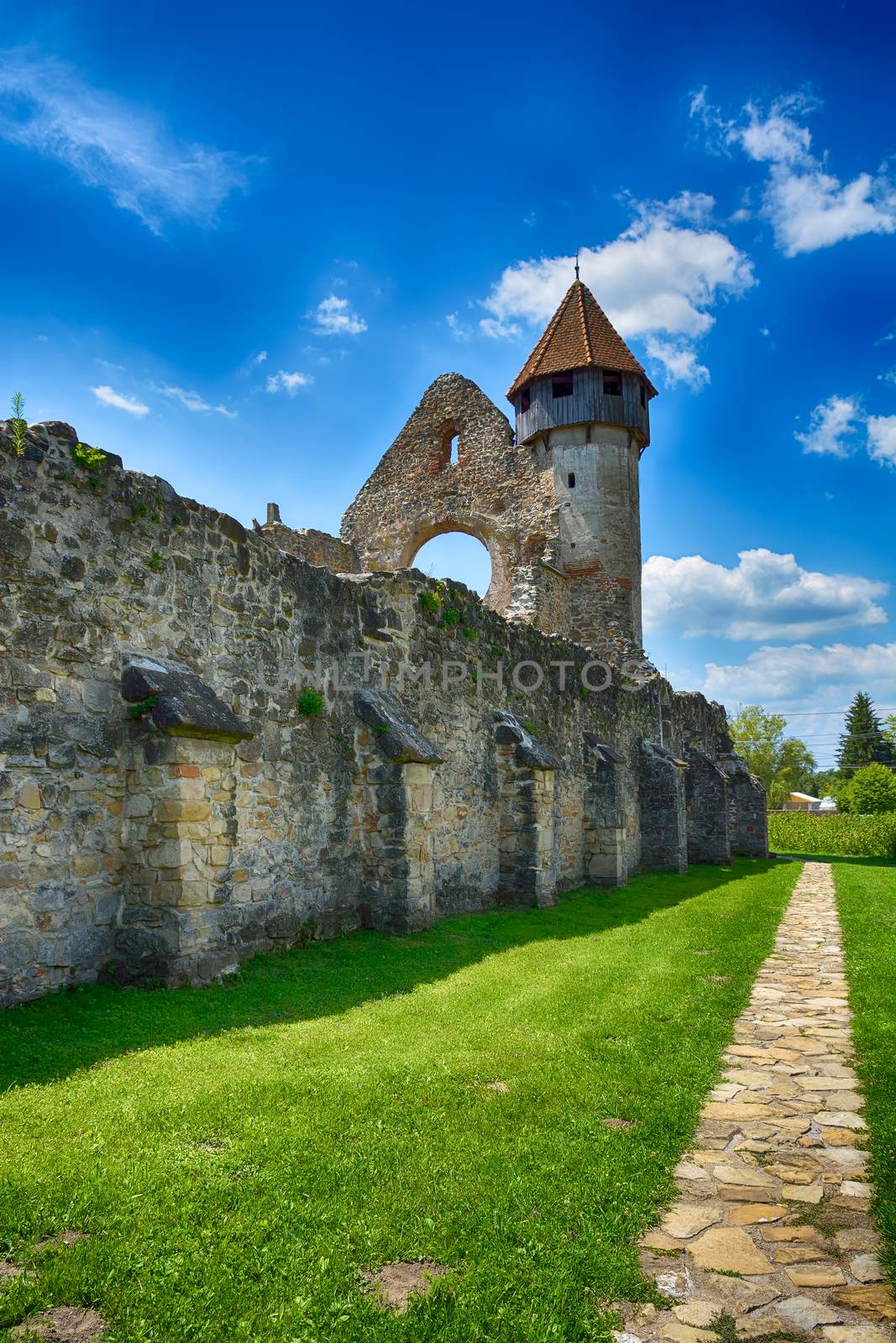 Cârţa Monastery is a former Cistercian (Benedictine) monastery in the Ţara Făgăraşului region in southern Transylvania. The monastery was probably founded in 1202-1206 by monks from Igriș abbey (daughter house of Pontigny abbey)