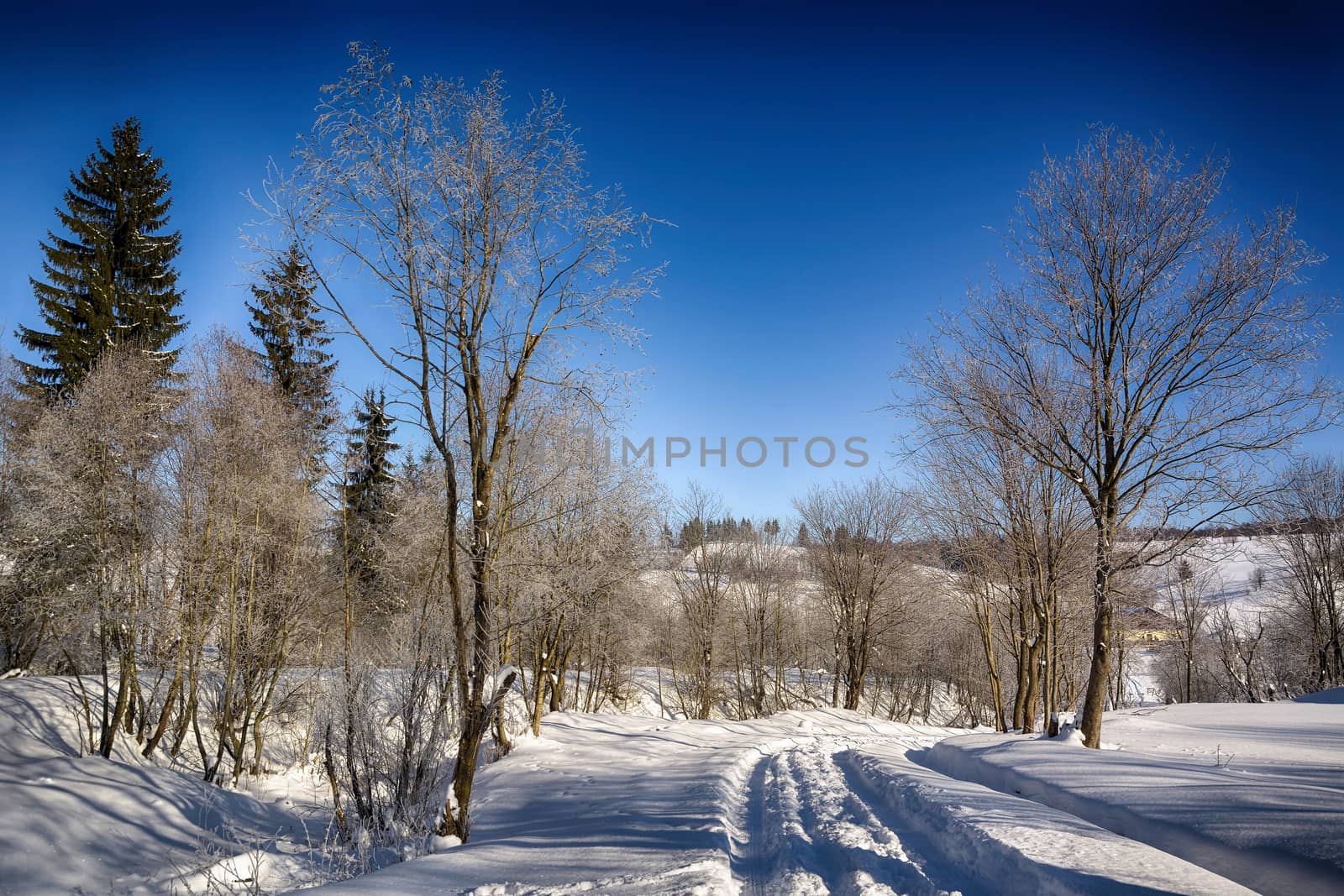 winter mountain landscape by constantinhurghea