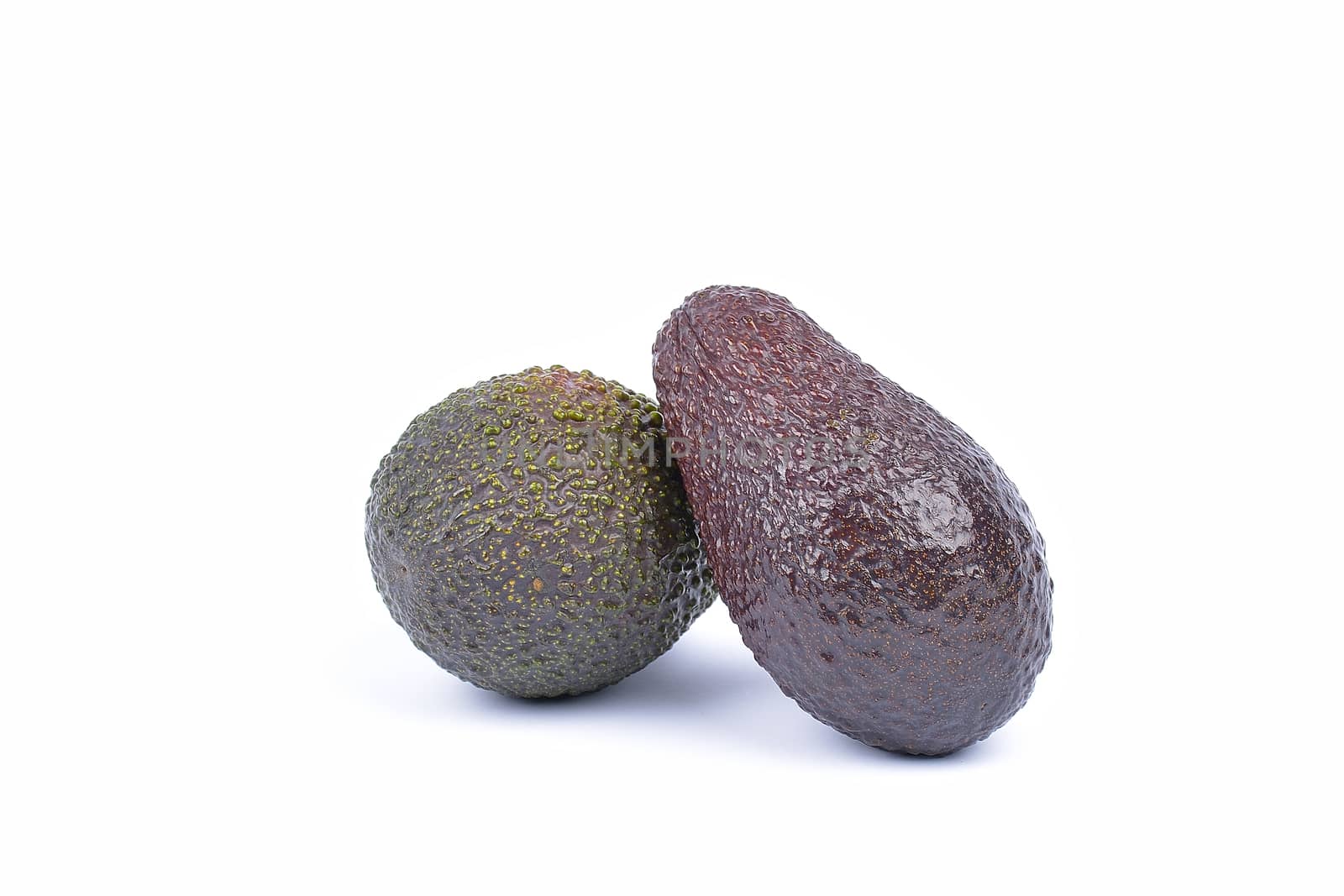 Avocado  on a white background.