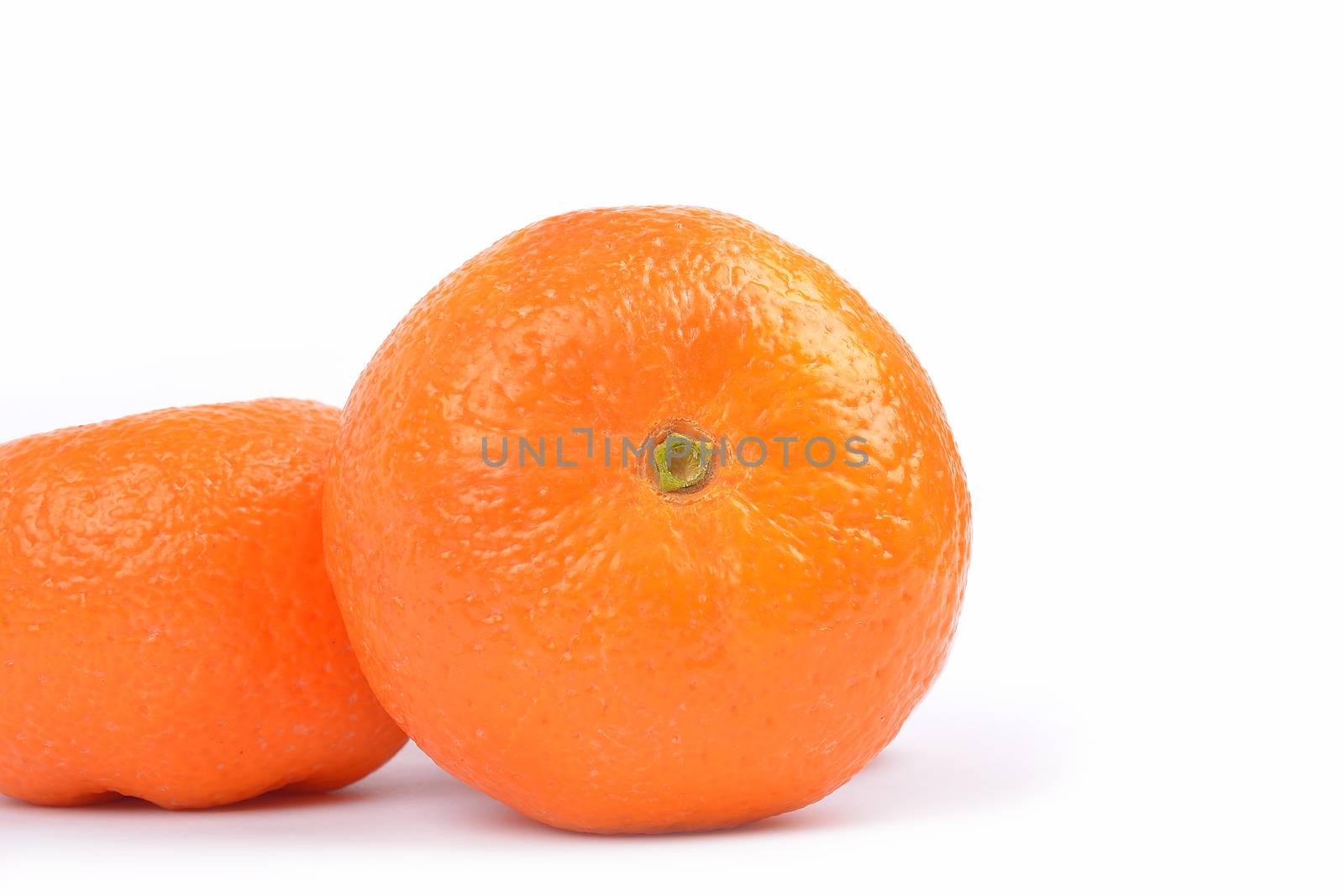 oranges on white background