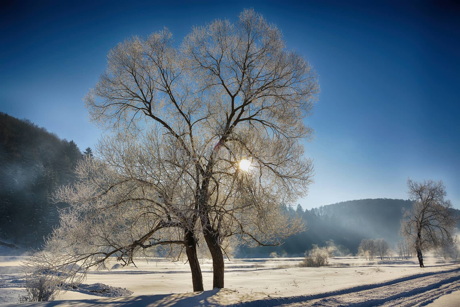 winter mountain landscape by constantinhurghea