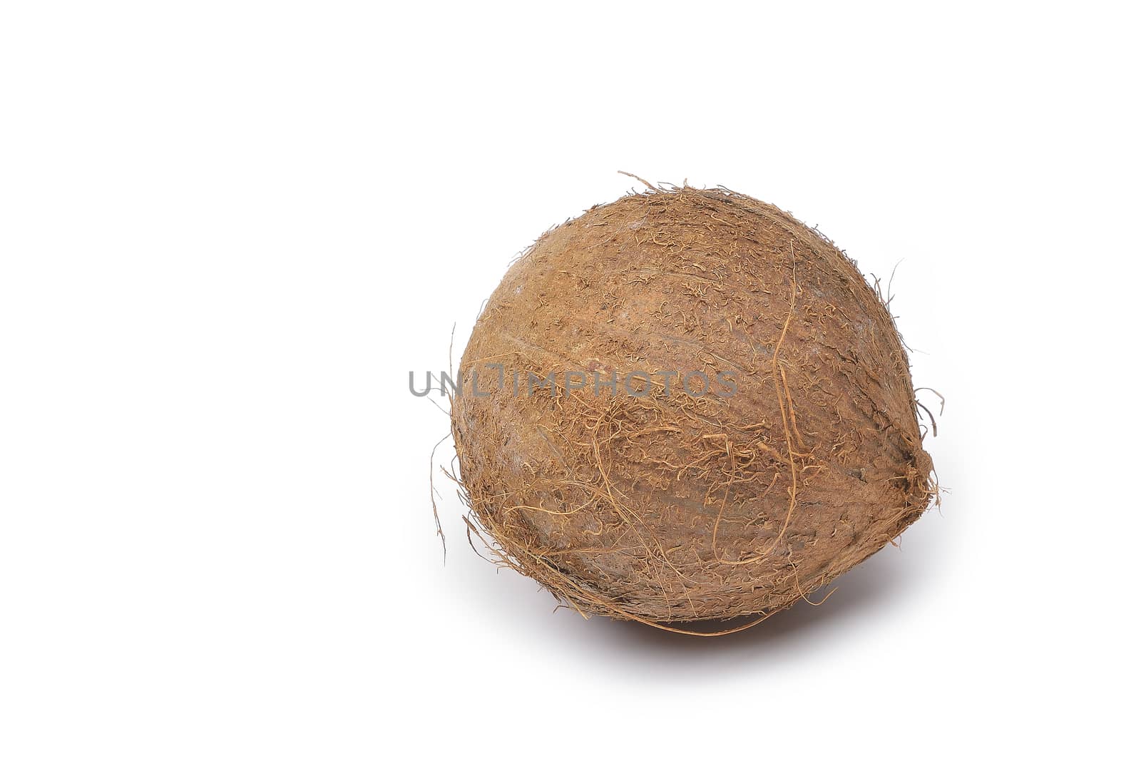 coconut on a white background