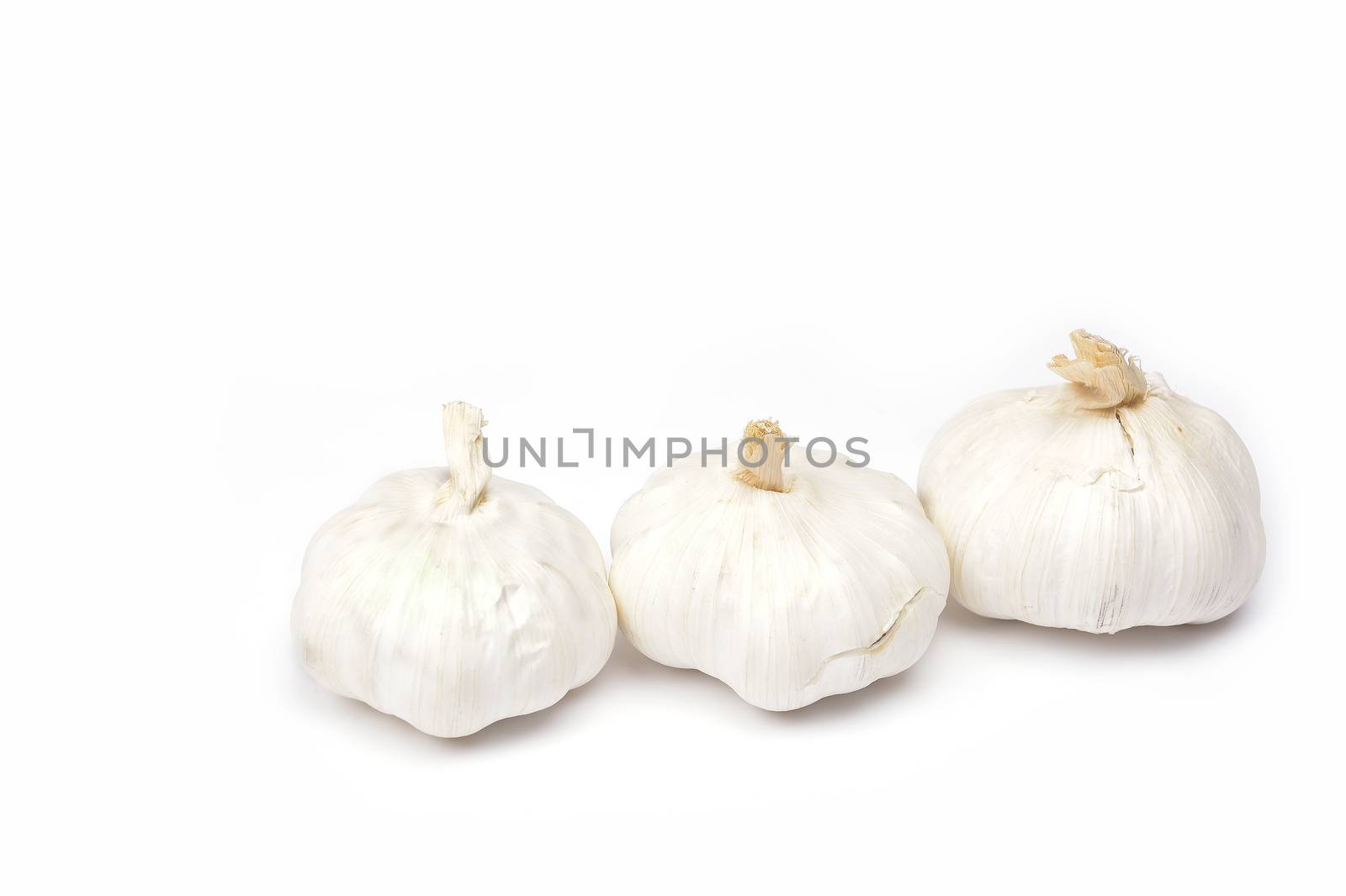 garlic on a white background