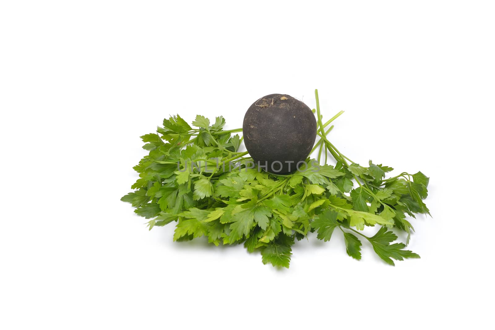 vegetables on a white background