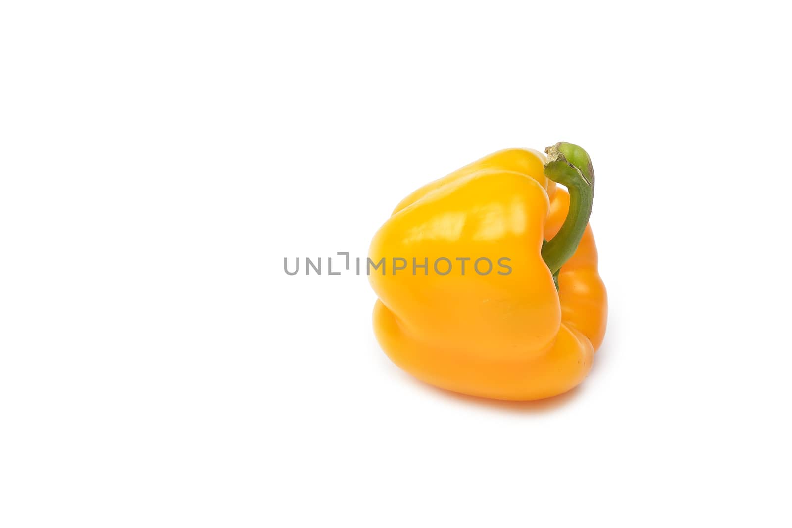 capsicum on a white background