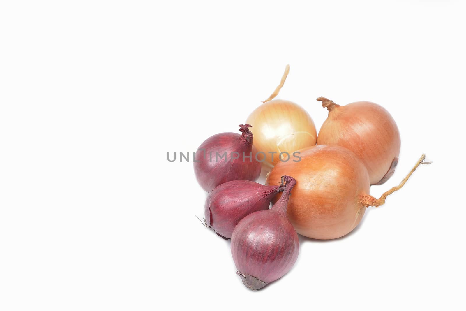 Fresh onion bulbs on white background by constantinhurghea