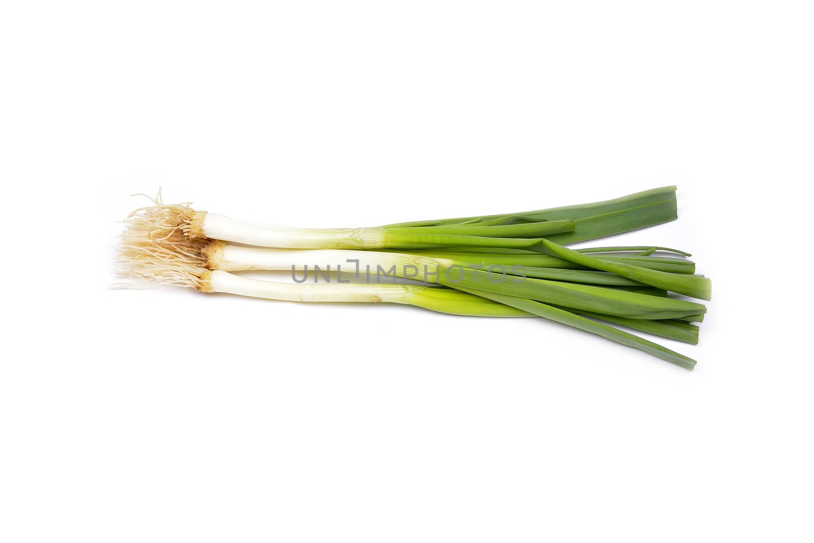 vegetables on a white background by constantinhurghea