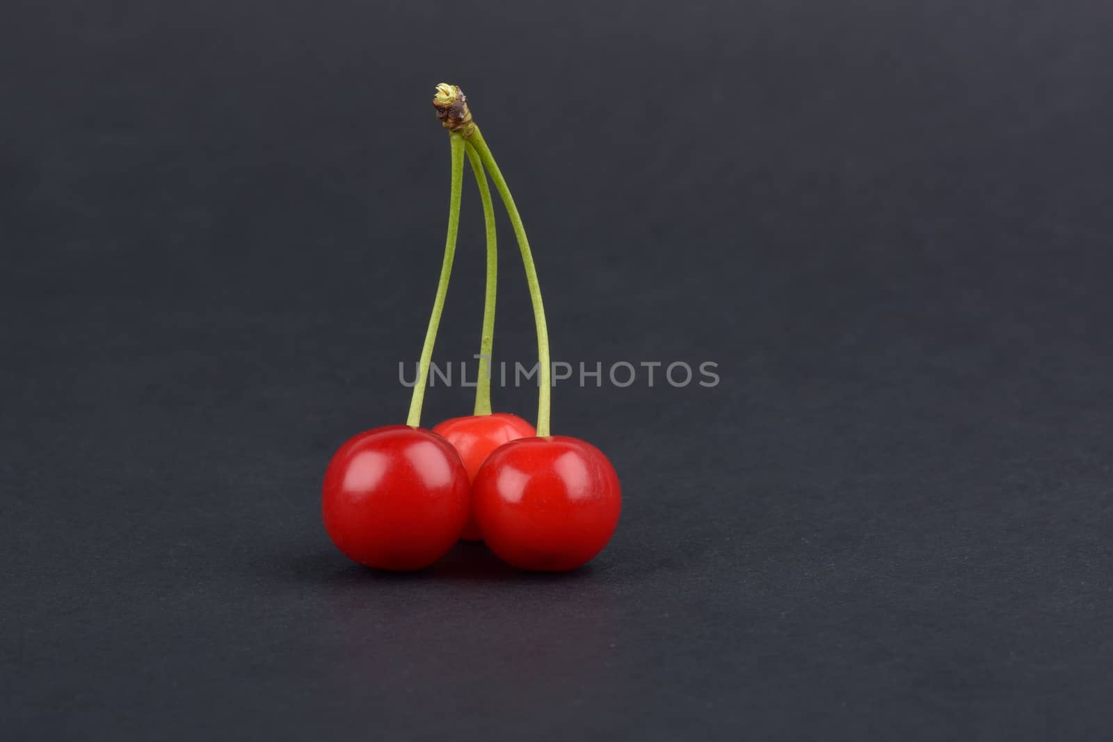 Sweet ripe cherry. by constantinhurghea