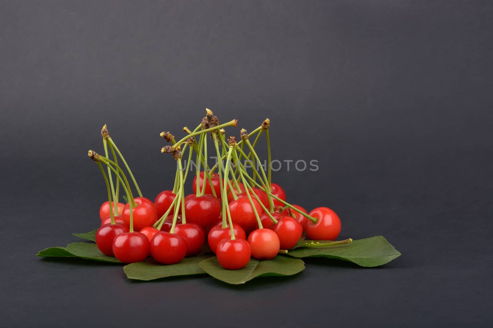 Sweet ripe cherry. by constantinhurghea