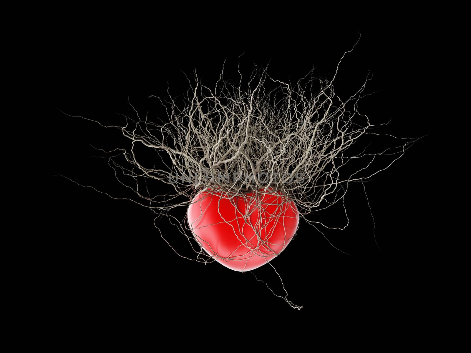 Brown's roots grew out of a red heart, in a black background. by teerawit