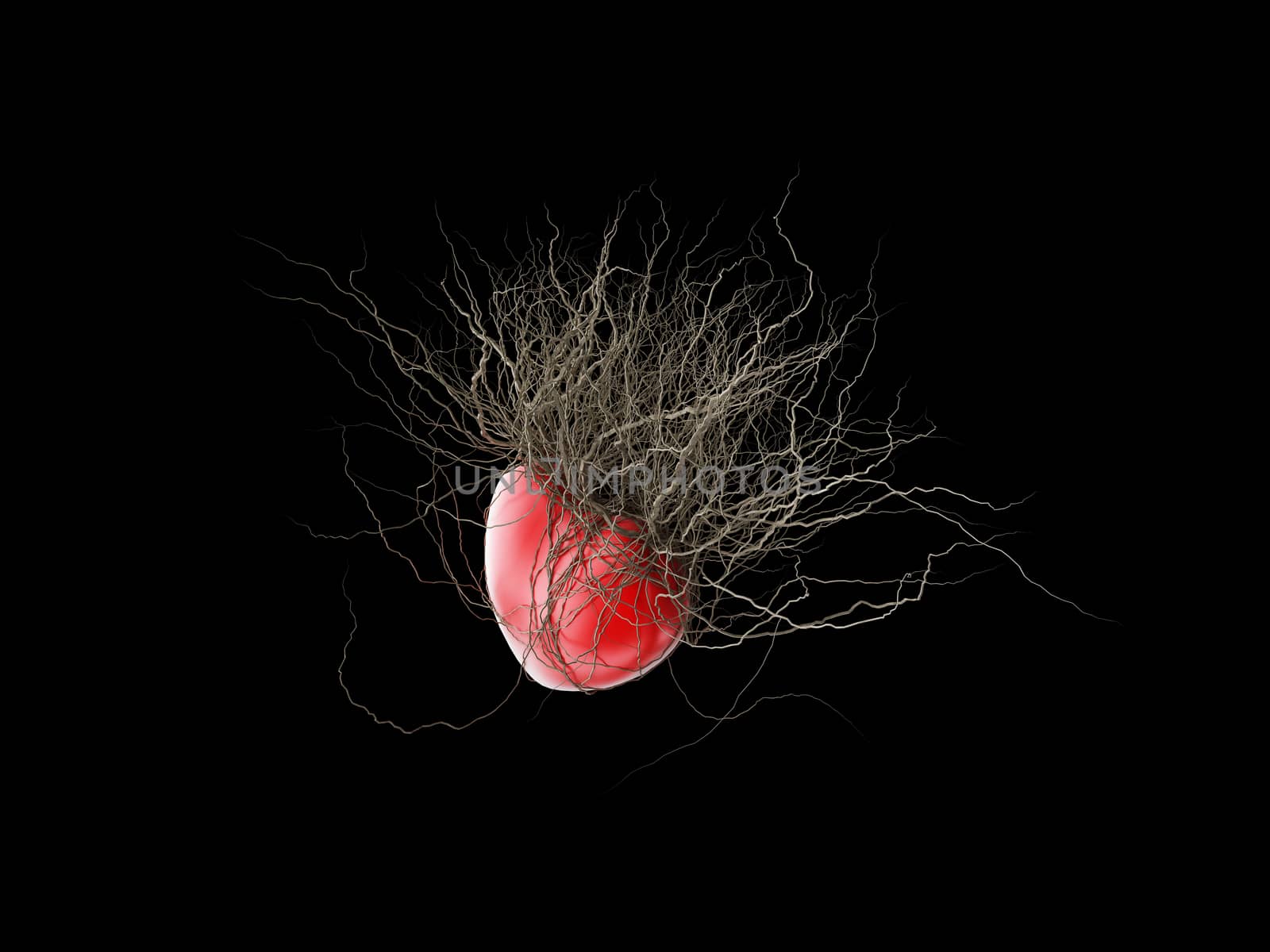 Brown's roots grew out of a red heart, in a black background. by teerawit