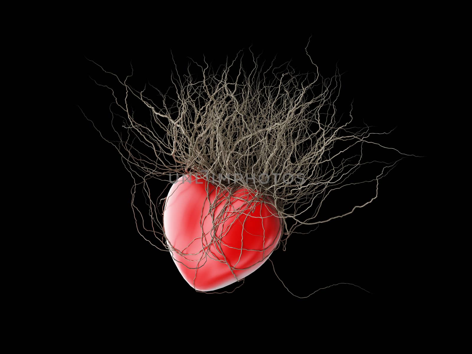 Brown's roots grew out of a red heart, in a black background. by teerawit