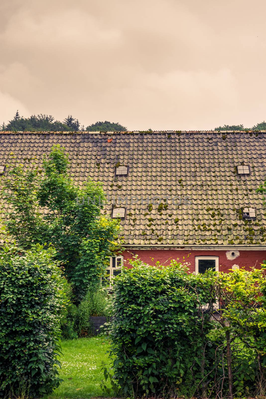 Hedge at an old house by Sportactive