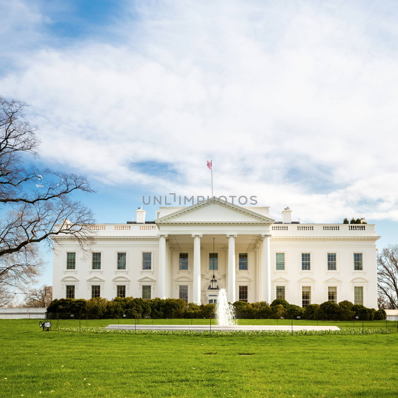 The White House by vichie81