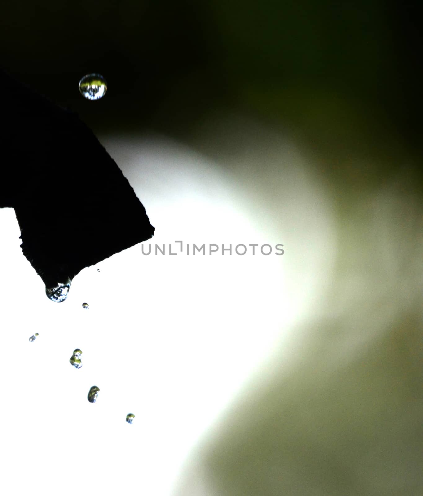 Picture of a waterdrops on a leaves in the morning