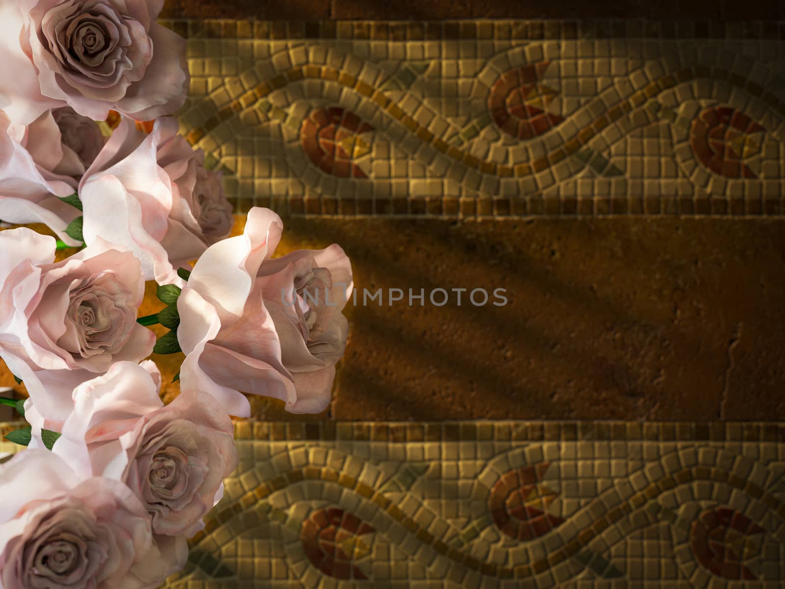 white roses on ancient wall decorative concept background by denisgo