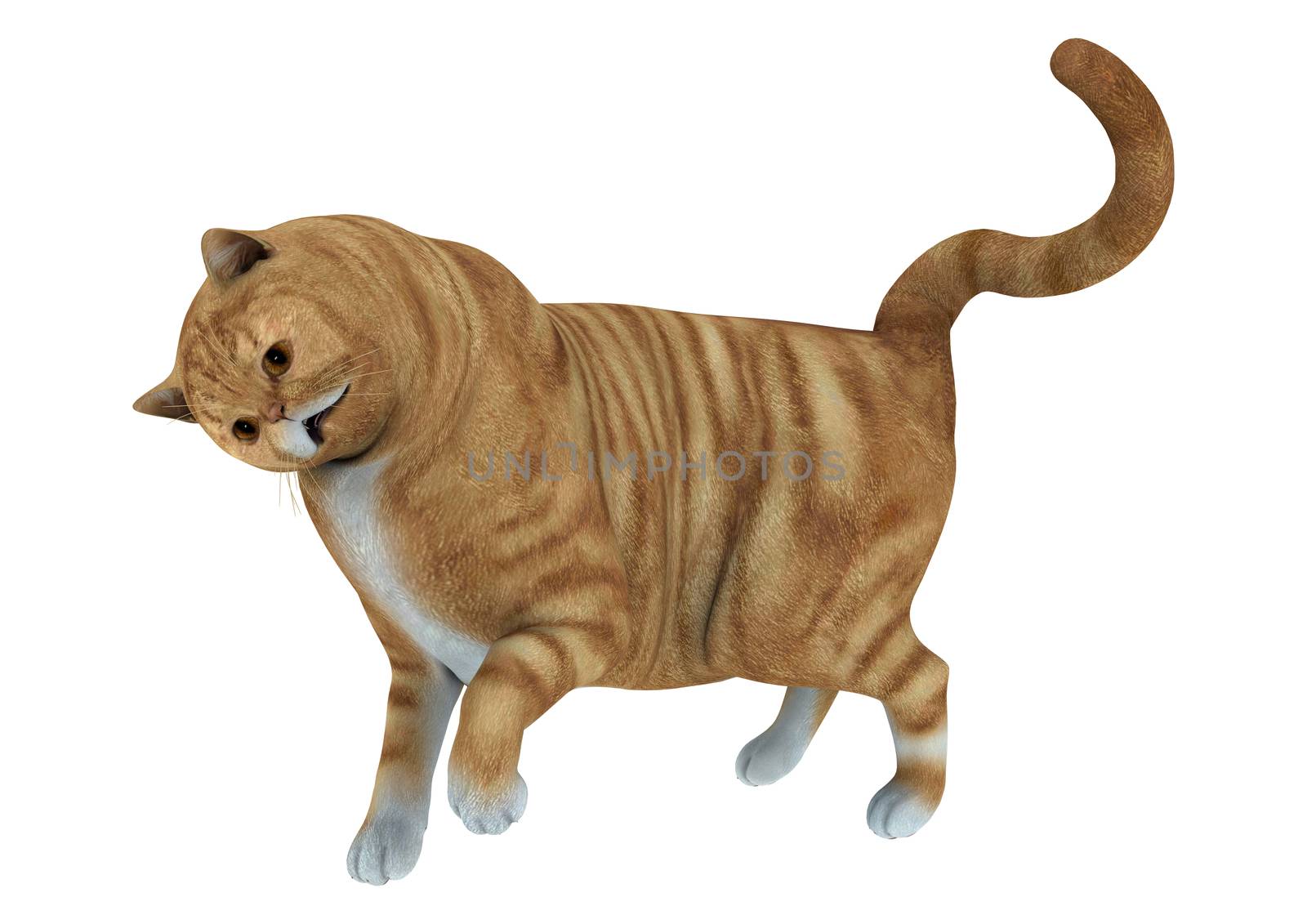 3D digital render of a big red cat playing isolated on white background