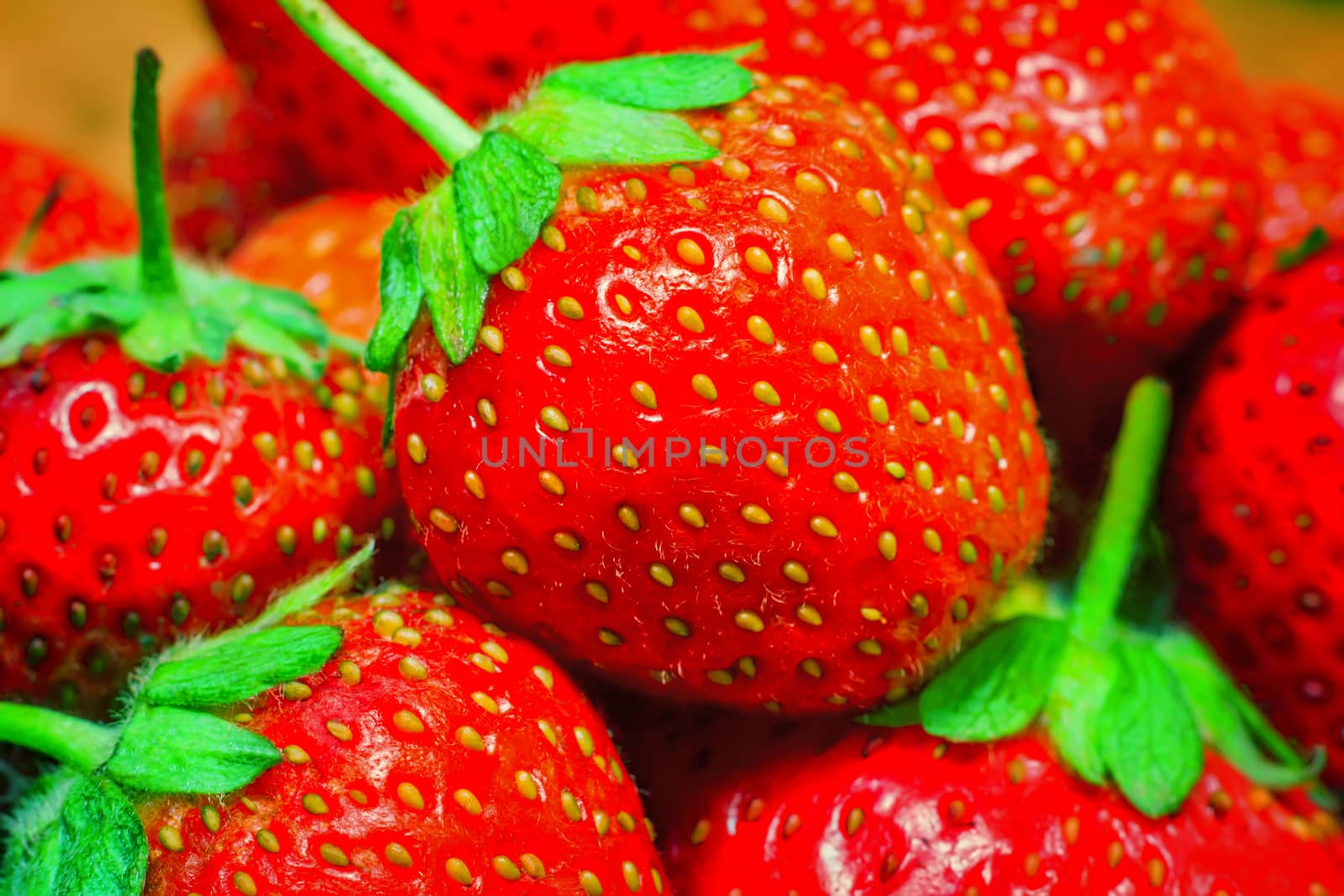 Red ripe strawberries with green leaves. Presents close up with details.