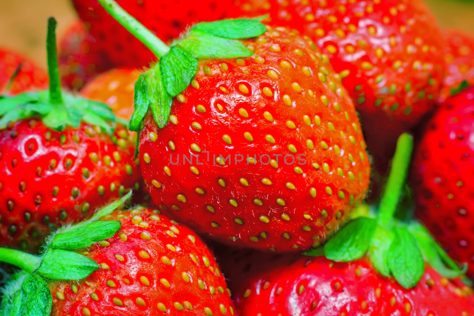 Red ripe strawberries with green leaves. Presents close up with details.